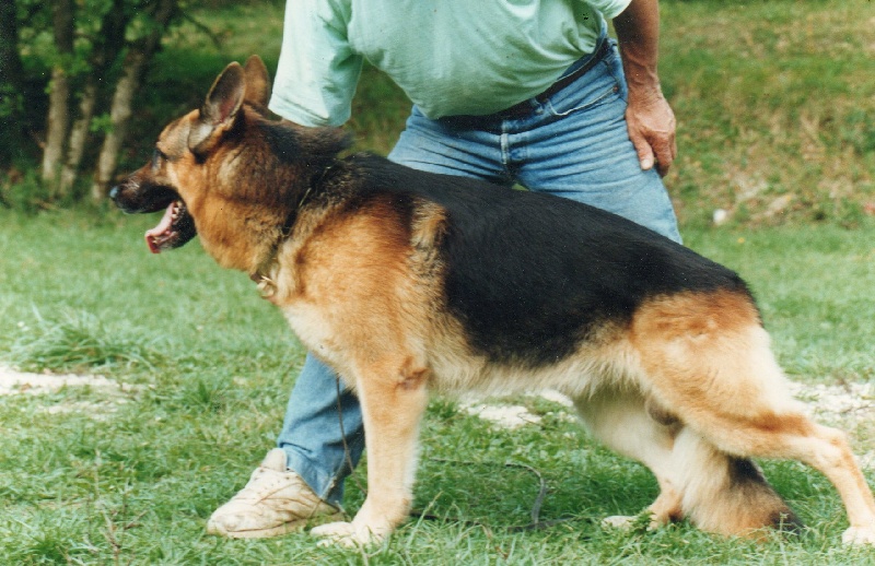 Farouk Du haut pontac