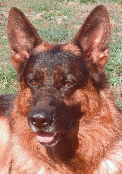 Ugo Des Terres d'Eùs